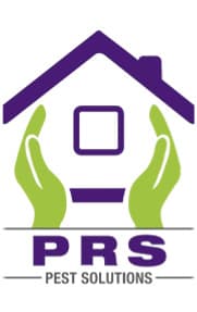 Pesto Relief Services